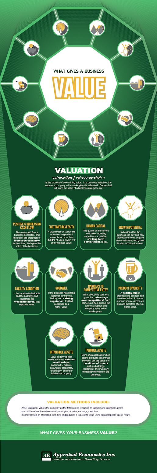 APPRAISAL ECONOMICS-Infographic-Business Value_2