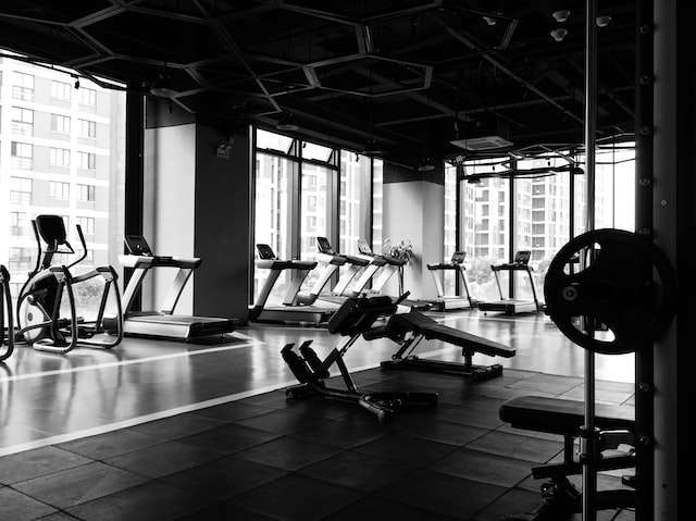 The Recovery of Gym Franchises Since COVID-19